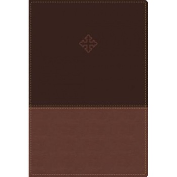 Amplified Study Bible, Imitation Leather, Brown, Zondervan (Author) Amplified Study Bible, Imitation Leather, Brown, Zondervan (Author)