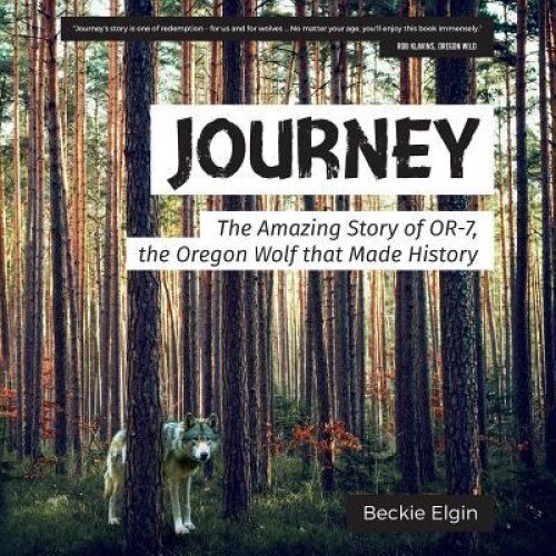 Journey: The Amazing Story of Or-7, the Oregon Wolf That Made History, Beckie Elgin (Author)