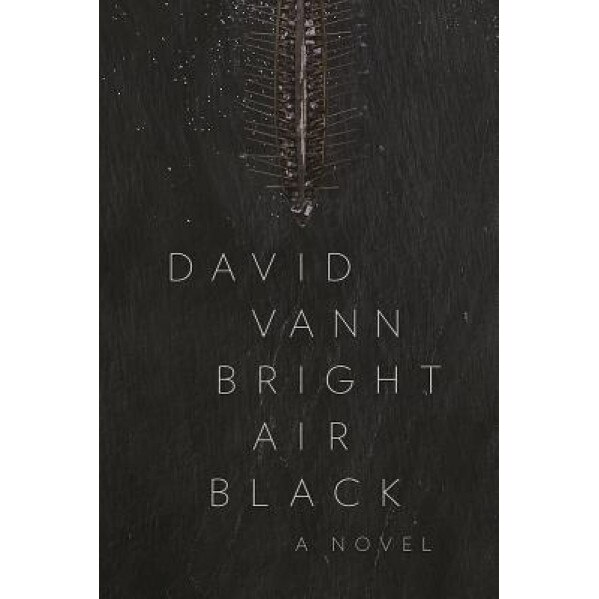 Bright Air Black, David Vann (Author)