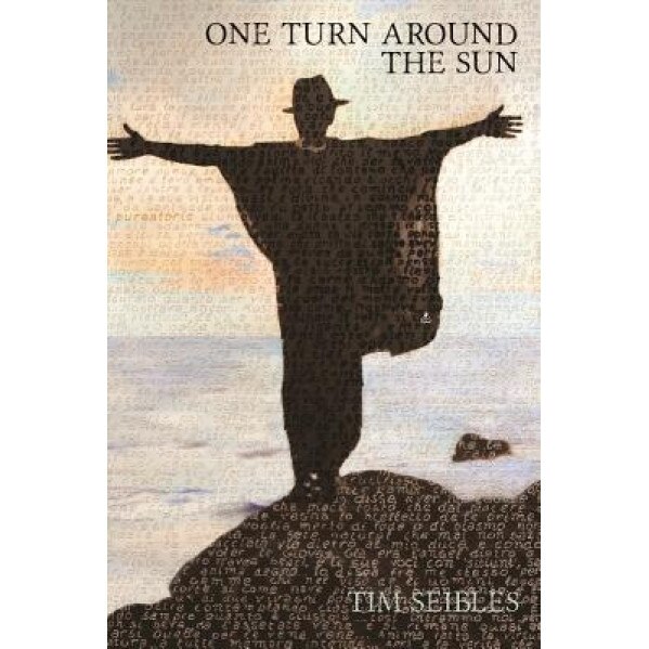 One Turn Around the Sun, Tim Seibles (Author)