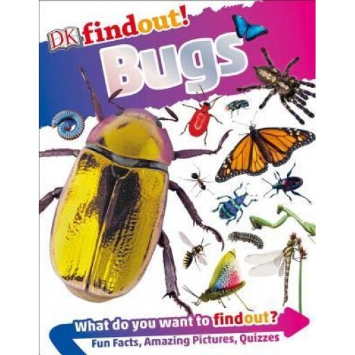 DK Findout! Bugs, Andrea Mills (Author)