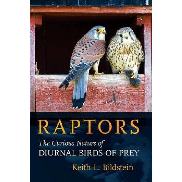 Raptors: The Curious Nature of Diurnal Birds of Prey, Keith L. Bildstein (Author)