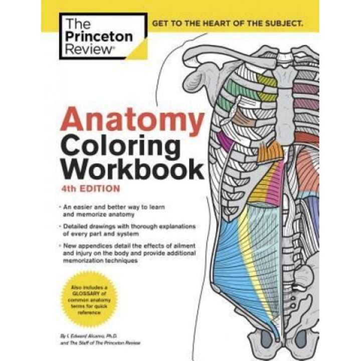 Anatomy Coloring Workbook, 4th Edition - Princeton Review (Author)