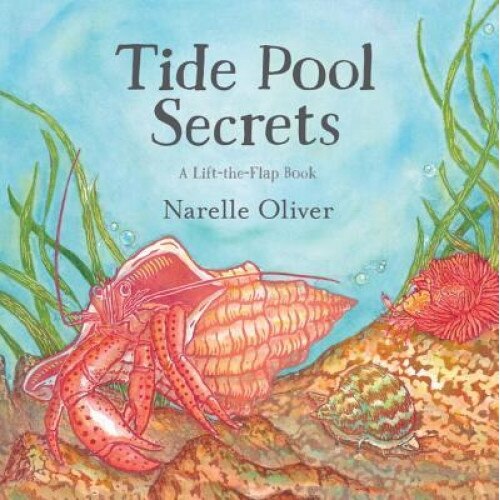 Tide Pool Secrets, Narelle Oliver (Author)