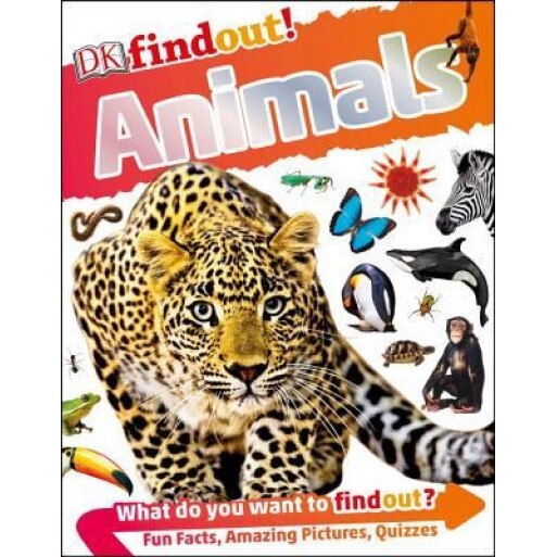 DK Findout! Animals, DK (Author)