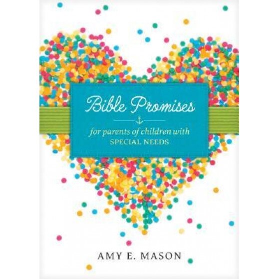 Bible Promises for Parents of Children with Special Needs, Amy E. Mason (Author)