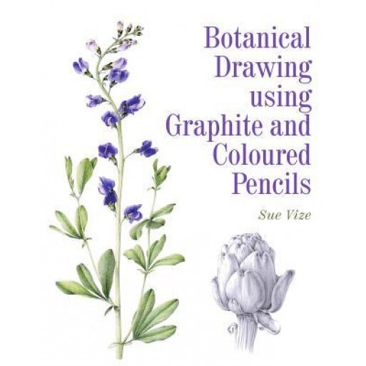 Botanical Drawing Using Graphite and Coloured Pencils, Sue Vize (Author)