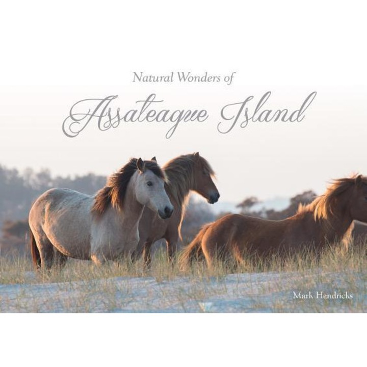 Natural Wonders of Assateague Island, Mark Hendricks (Author)