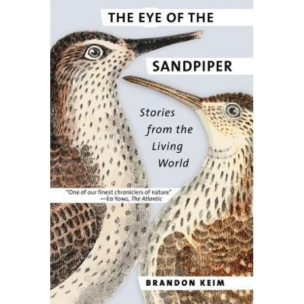 The Eye of the Sandpiper: Stories from the Living World, Brandon Keim (Author)
