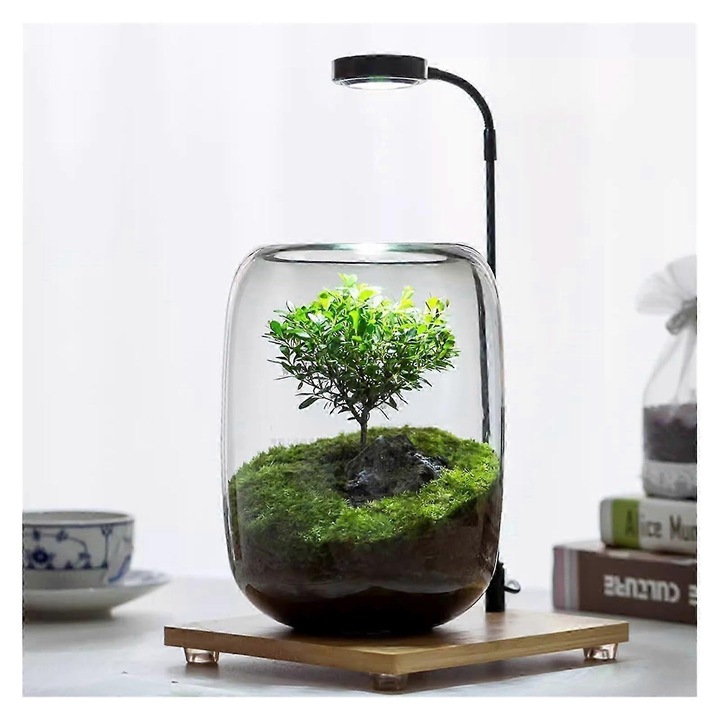 Terrariu din sticla cu lampa LED pentru plante, borosilicat, transparent, 16 x 22 cm, FG123K0225-260803-6063