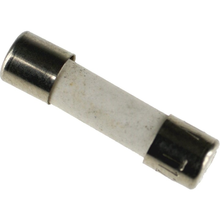 Siguranta fuzibila cuptor cu microunde 5x20mm 10A Universal