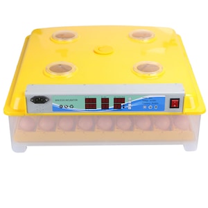 Incubator complet automat Ms pentru 63/252 oua -