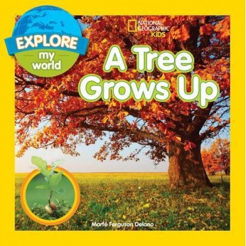 Explore My World a Tree Grows Up, Marfe Ferguson Delano (Author)