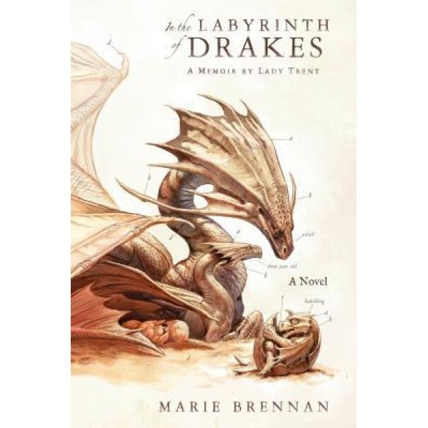 In the Labyrinth of Drakes, Marie Brennan (Author)