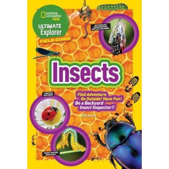 Ultimate Explorer Field Guide: Insects: Find Adventure! Go Outside! Have Fun! Be a Backyard Insect Inspector!, Libby Romero (Author)