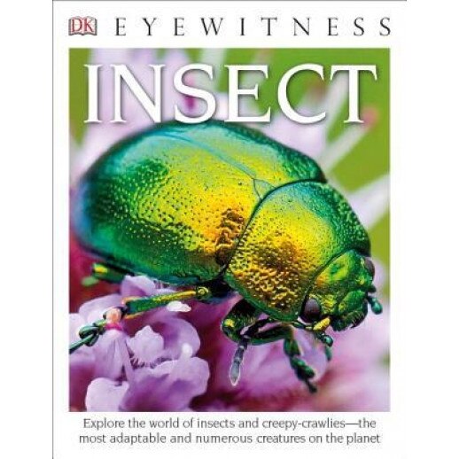 DK Eyewitness Books: Insect, DK (Author)