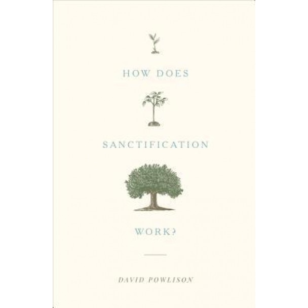 How Does Sanctification Work?, David Powlison (Author)