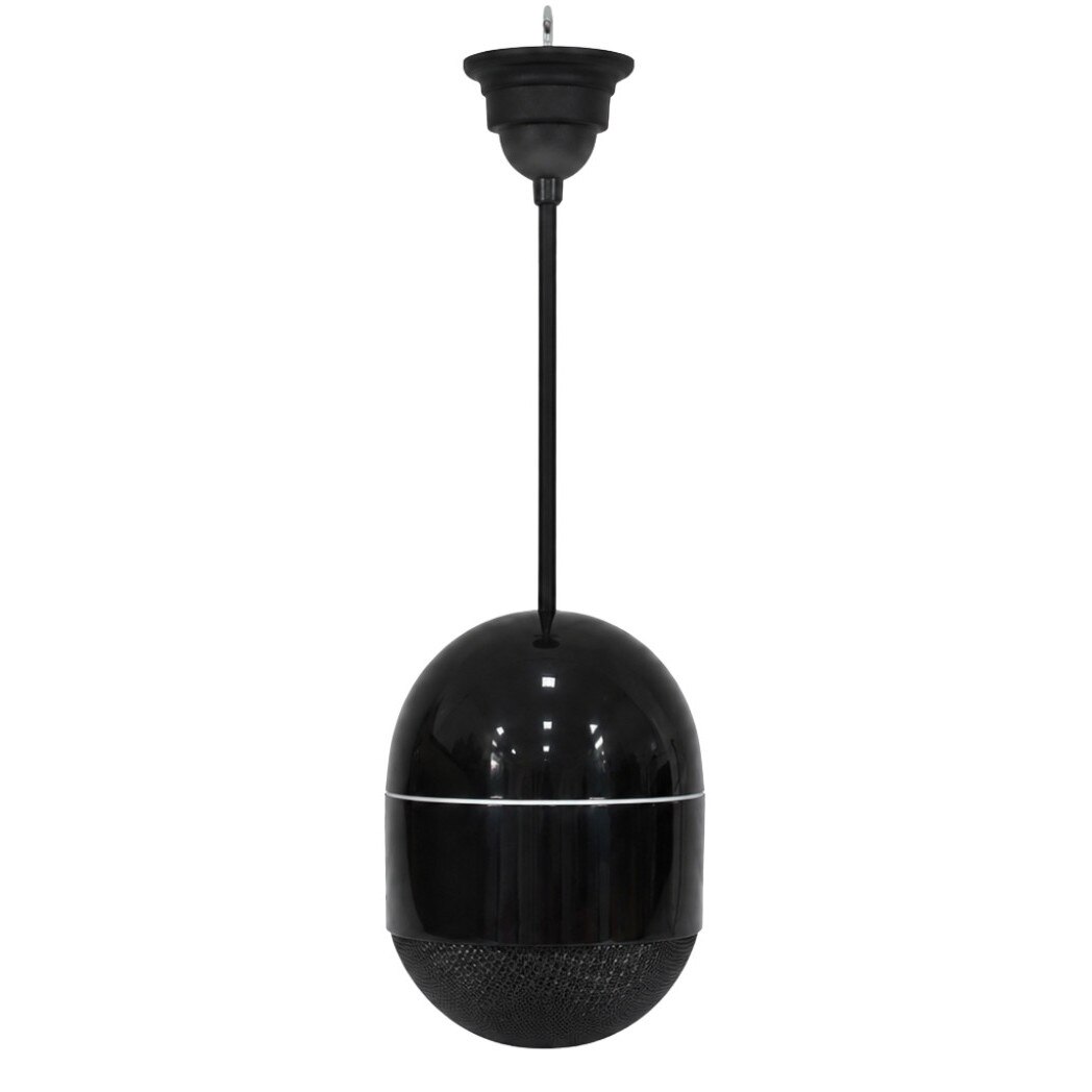 Thunder RPE-5B Boxă de perete suspendabilă 5″, 8 Ohm/100V, negru