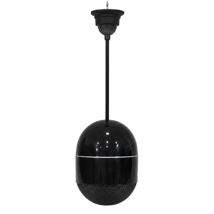 Thunder RPE-5B Boxă de perete suspendabilă 5″, 8 Ohm/100V, negru