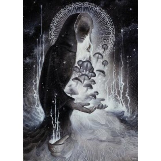 The Psychedelic Anthology: Volume I - Aeternum (Created by)