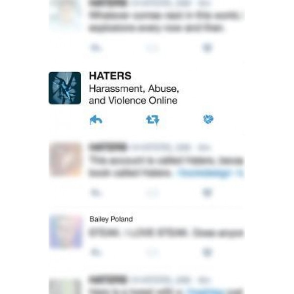 Haters: Harassment, Abuse, and Violence Online, Bailey Shoemaker Richards (Author)