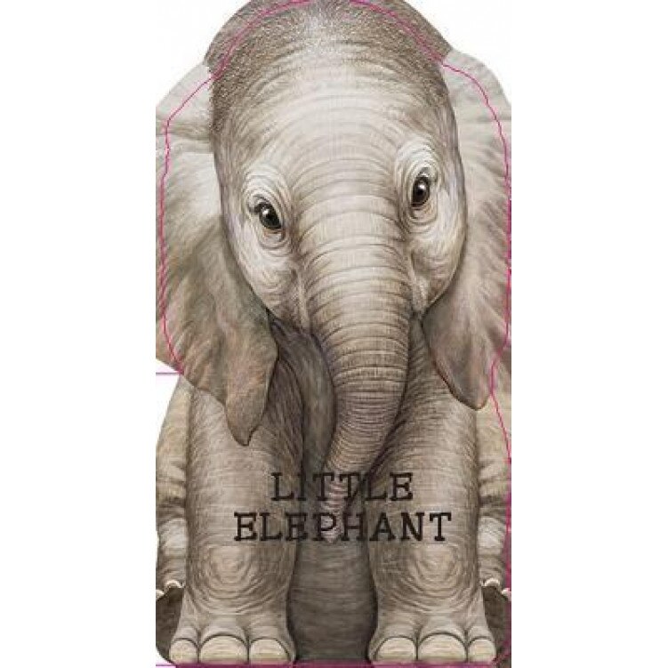 Little Elephant, Laura Rigo (Illustrator)