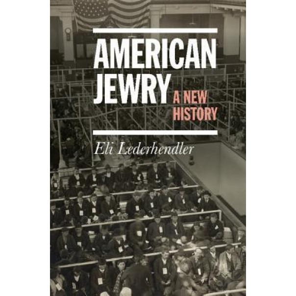 American Jewry: A New History, Eli Lederhendler (Author)
