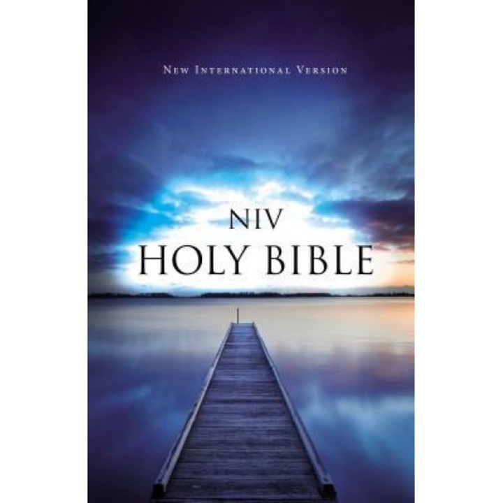 NIV, Value Outreach Bible, Paperback, Zondervan (Author)