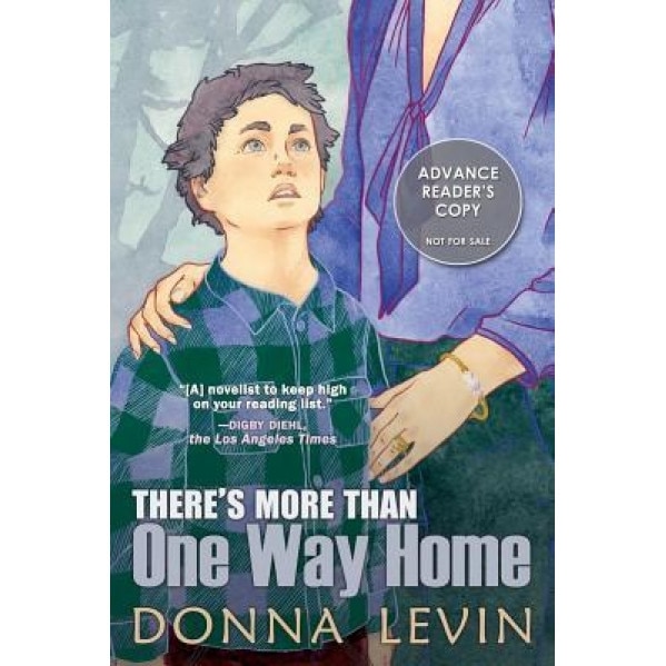 There's More Than One Way Home, Donna Levin (Author)