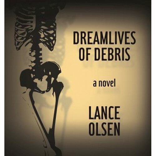 Dreamlives of Debris, Lance Olsen (Author)