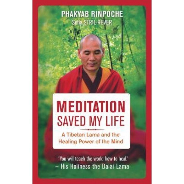 Meditation Saved My Life: A Tibetan Lama and the Healing Power of the Mind - Bstan-Dzin-Rgya (Author)