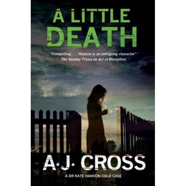 A Little Death: A Forensic Cold-Case Mystery Featuring Dr Kate Hanson, A. J. Cross (Author)