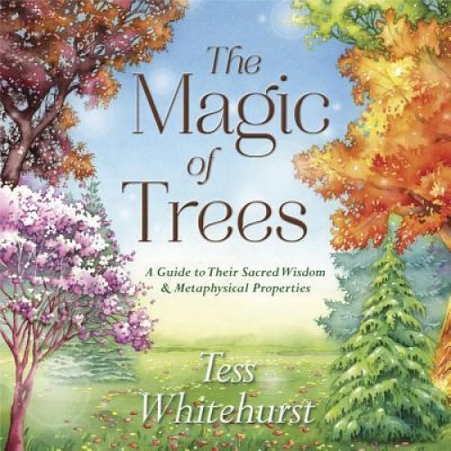 The Magic of Trees: A Guide to Their Sacred Wisdom and Metaphysical Properties - Tess Whitehurst (Author)