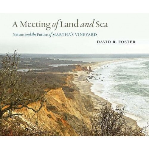 A Meeting of Land and Sea: Nature and the Future of Martha's Vineyard, David R. Foster (Author)