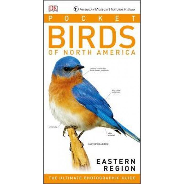 American Museum of Natural History: Pocket Birds of North America, Eastern Region, Stephen Kress (Author)