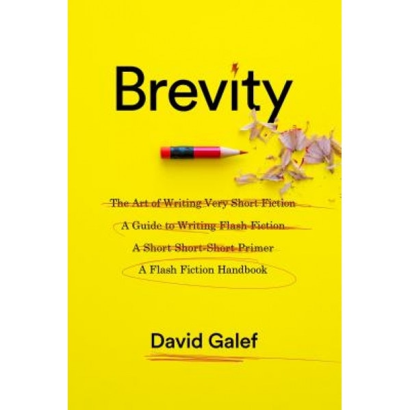 Brevity: A Flash Fiction Handbook, David Galef (Author)