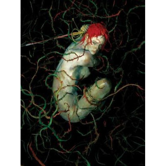 Fables the Deluxe Edition Book Fourteen, Bill Willingham (Author)