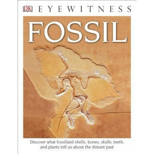 DK Eyewitness Books: Fossil, DK (Author)