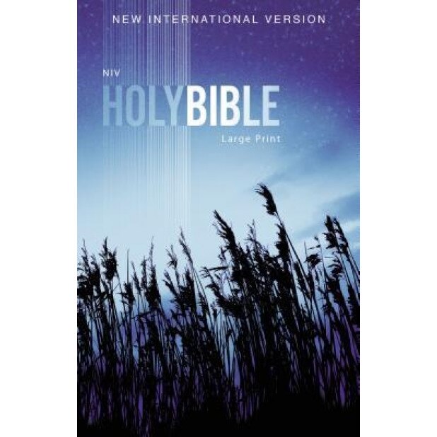NIV, Outreach Bible, Large Print, Paperback, Zondervan (Author)