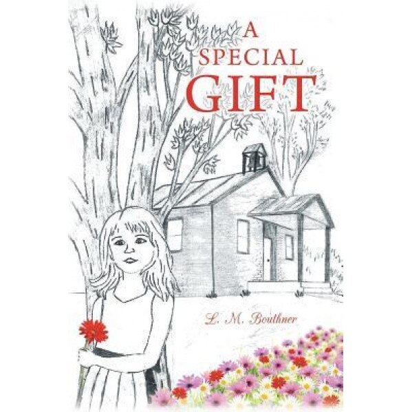 A Special Gift, L. M. Bouthner (Author)