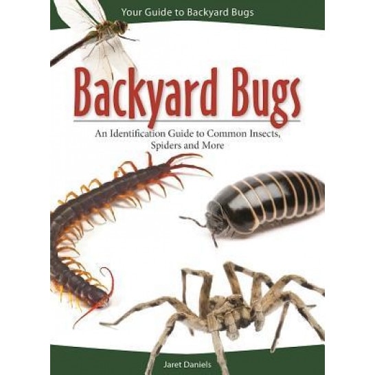 Backyard Bugs: An Identification Guide to Common Insects, Spiders and More, Jaret C. Daniels (Author)