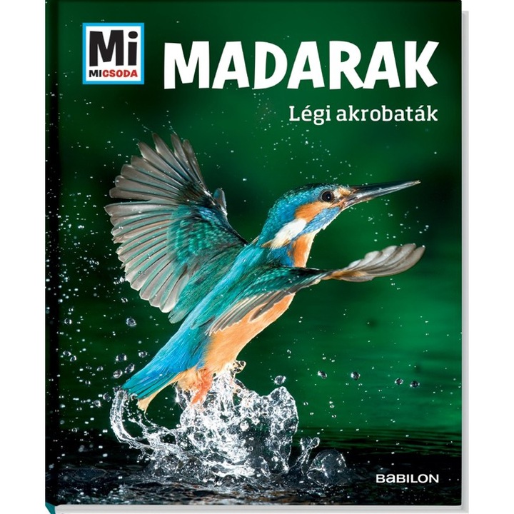 Madarak - Légi akrobaták - Alexandra Werdes