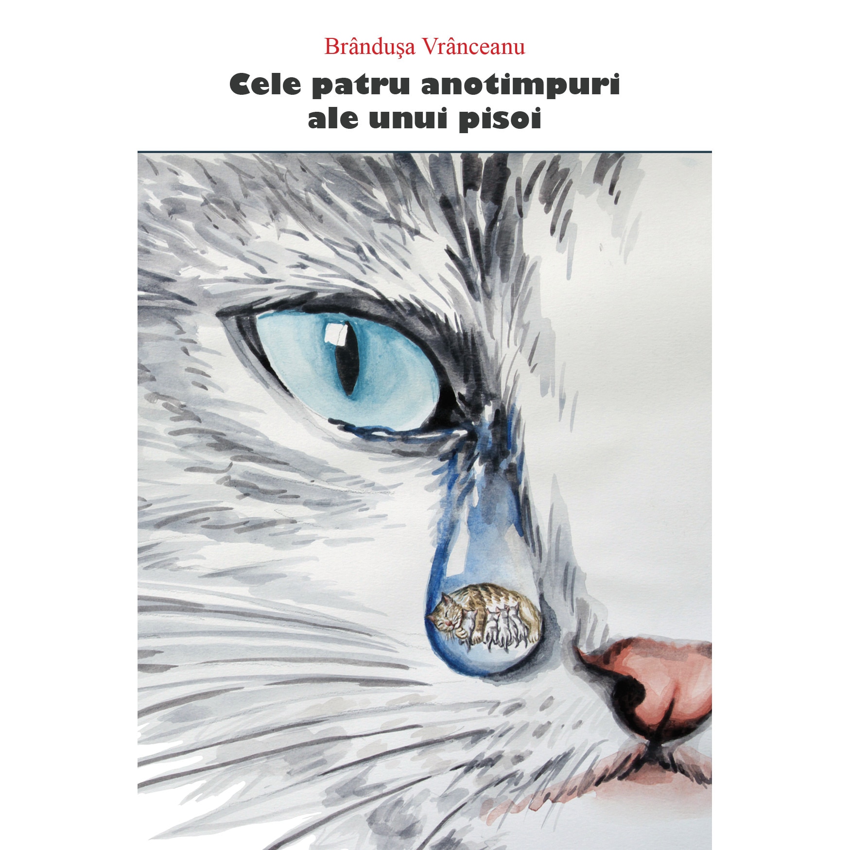 Cele patru anotimpuri ale unui pisoi