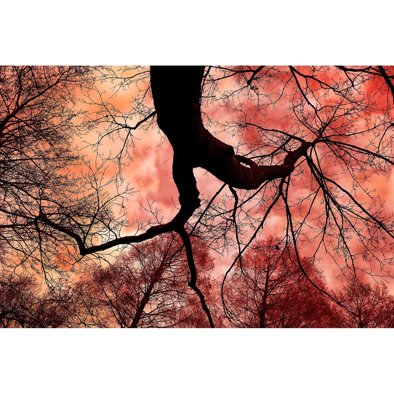 Tablou canvas Cer in flacari (75 x 50 cm)