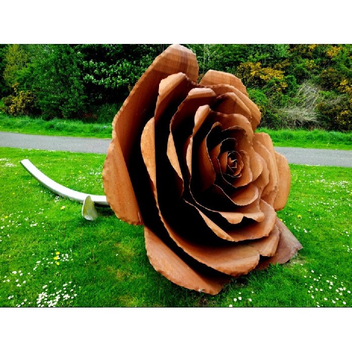 Tablou canvas Trandafir si lemn (60 x 40 cm)