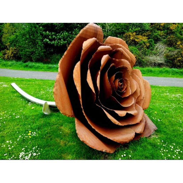 Fototapet Trandafir si lemn 300 x 200 cm