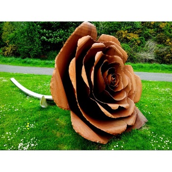 Fototapet Trandafir si lemn 300 x 200 cm Fototapet Trandafir si lemn 300 x 200 cm