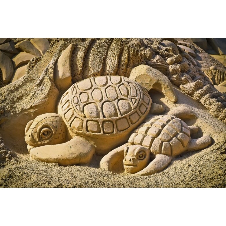 Fototapet din autocolant de perete Broscute din nisip 270 x 200 cm