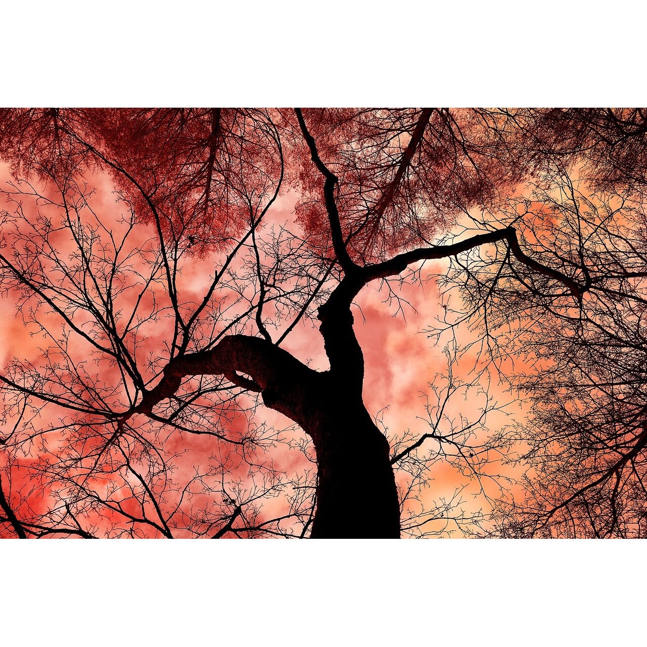 Fototapet din autocolant de perete Cer in flacari 270 x 200 cm