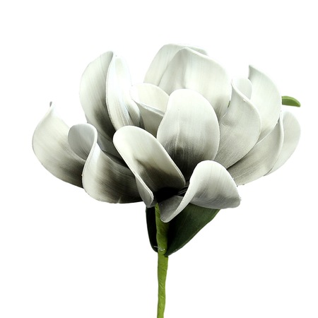 Floare Artificiala Din Spuma Alb Gri 25 Cm Emag Ro